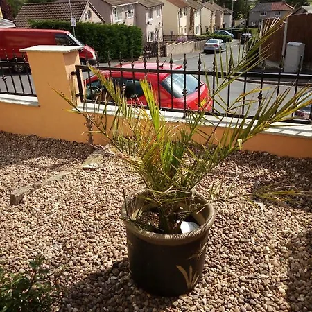Homestay Casa Siempre *